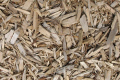 biomass boilers Fron Deg